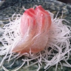 SASHIMI SUZUKI