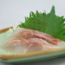 SASHIMI TAI