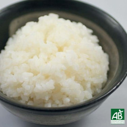 Bol de riz nature : le meilleur accompagnement pour un repas japonais