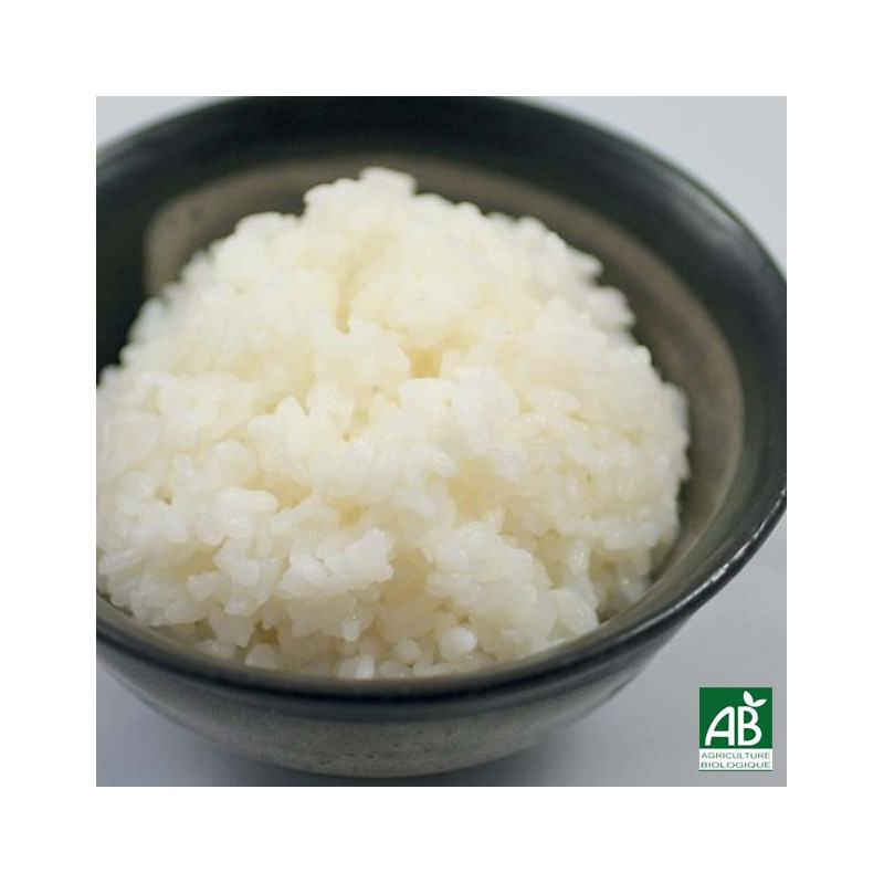 Bol de riz nature : le meilleur accompagnement pour un repas japonais